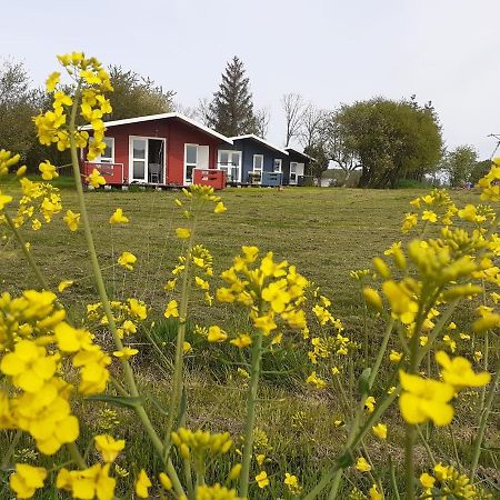 Kiszkowianka Domki Skrezeszweo Exterior foto