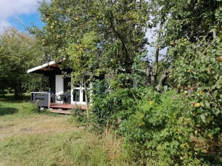 Kiszkowianka Domki Skrezeszweo Exterior foto